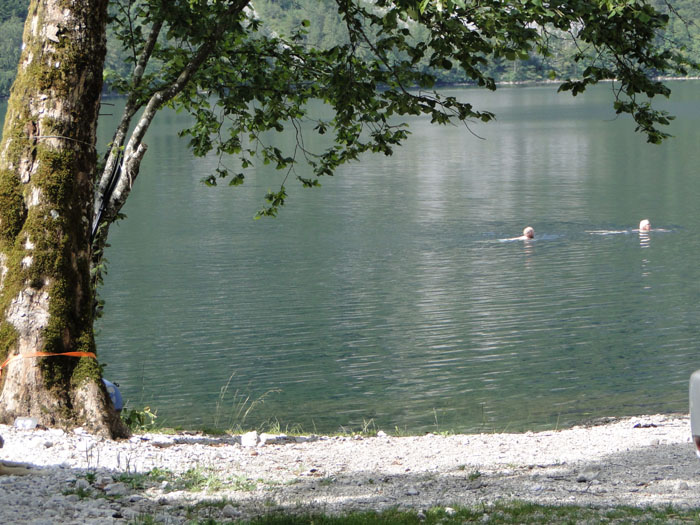 Bohinje See