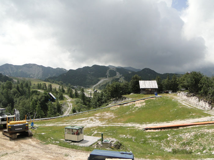 Vogel