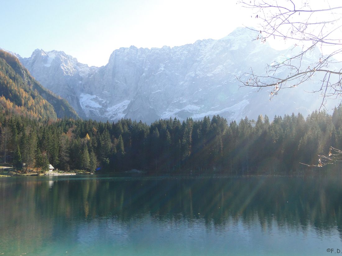 Fusine013