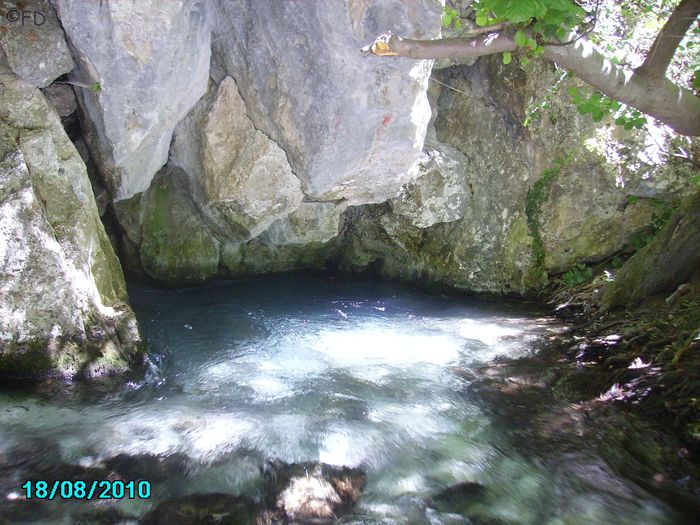 Glyki5