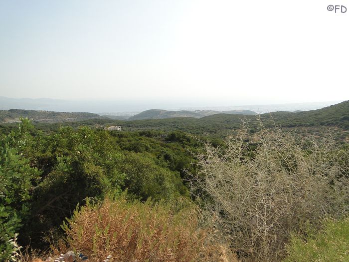 Kalamata
