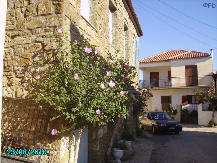 Lanesinnere1
