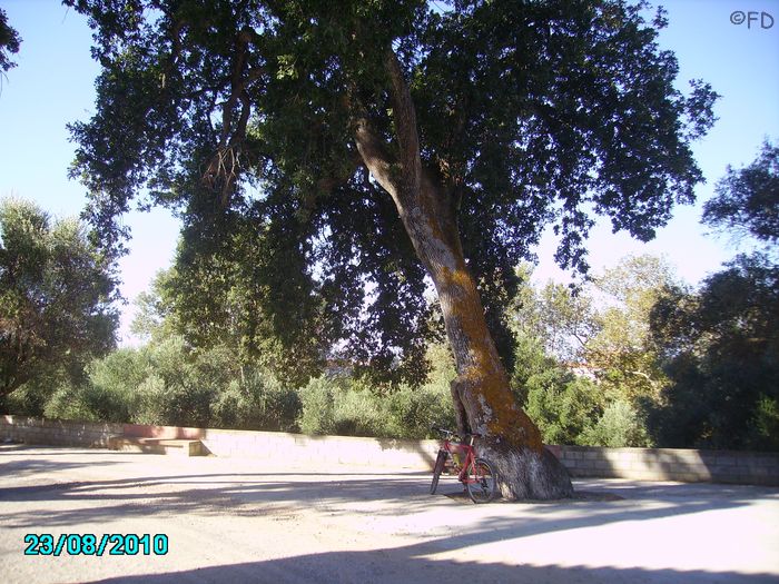 Wasserstellen