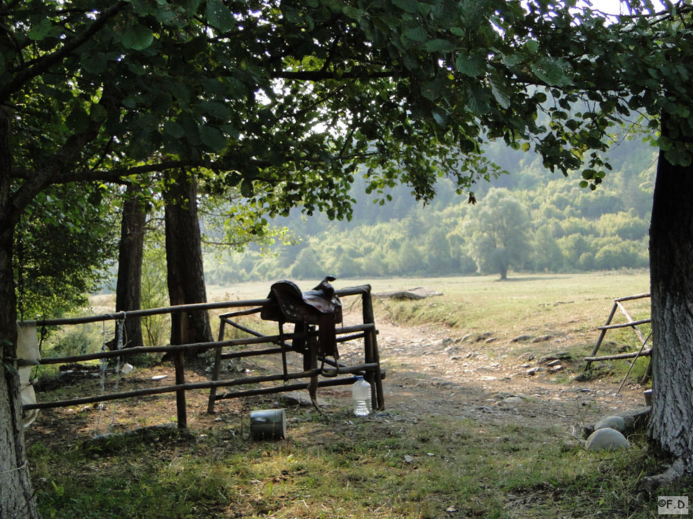 Reiten in Albanien