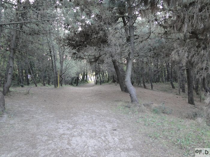 Ravenna 016