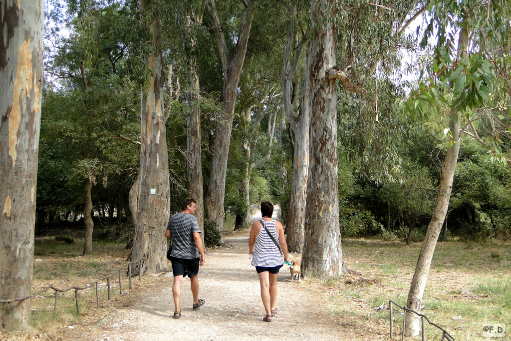 butrint